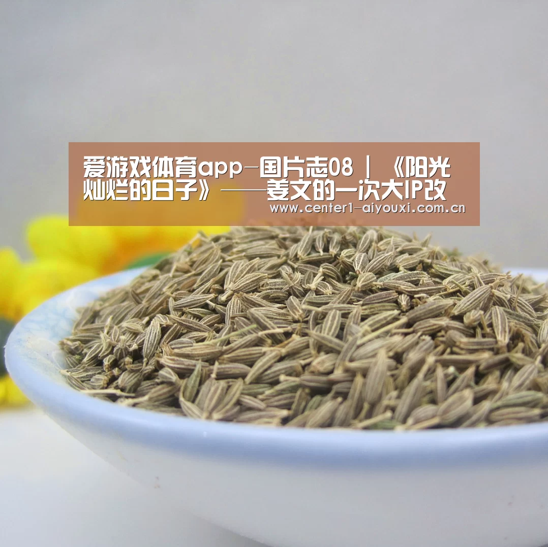 爱游戏体育app-国片志08 | 《阳光灿烂的日子》——姜文的一次大IP改编示范(图4) 爱游戏体育app